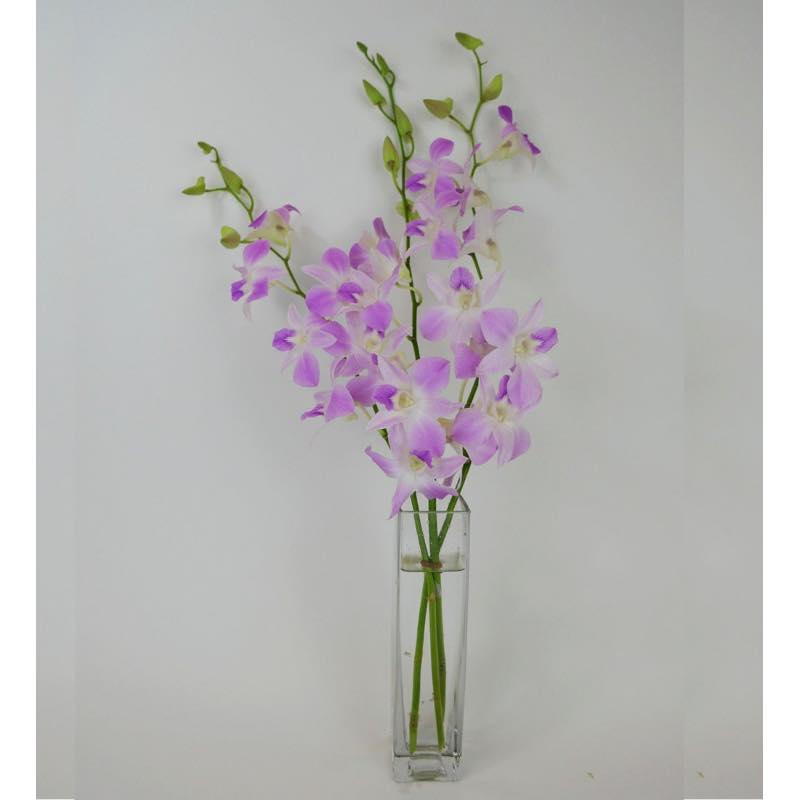 Fresh Cut Small Orchid Bunch in Glass Vase - Pink